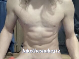 Jakethesnake312