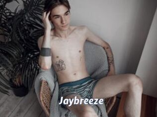 Jaybreeze
