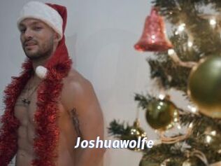 Joshuawolfe