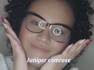 Juniper_camrose
