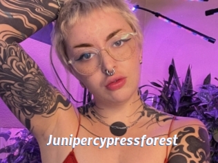 Junipercypressforest