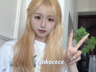 Junkocece
