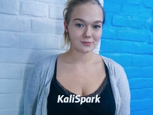 KaliSpark