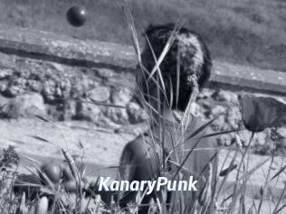 KanaryPunk