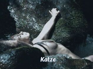 Katze
