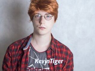 KevinTiger