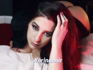 Karinanoir