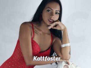 Kattfoster