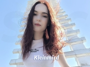 Kleinmird