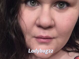 Ladybug22