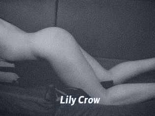 Lily_Crow