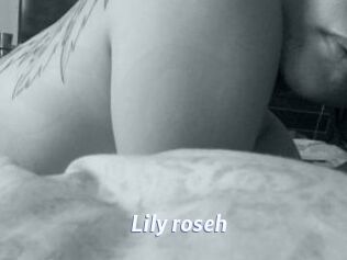 Lily_roseh