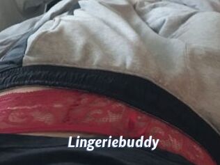 Lingeriebuddy