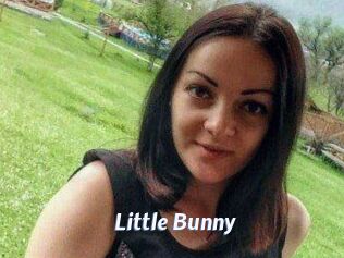 Little_Bunny_