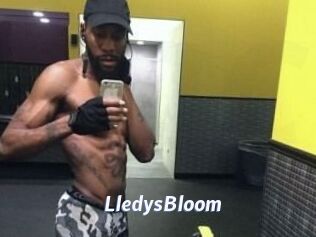 Lledys_Bloom