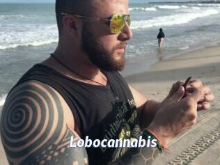 Lobocannabis