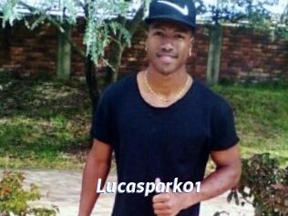 Lucaspark01