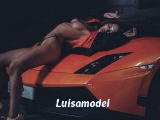 Luisamodel