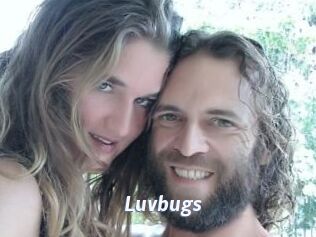 Luvbugs