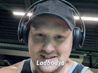 ladbod36 Sexe amateur contributions