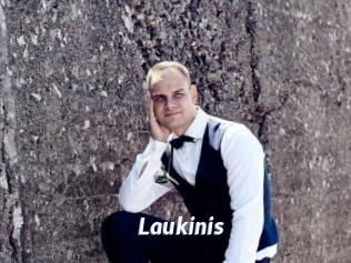 Laukinis