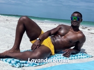 Lavanderbrown