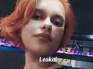 Leakai