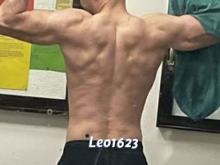 leo1623 Sexe amateur contributions