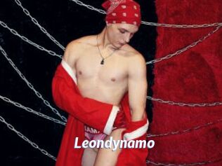 Leondynamo