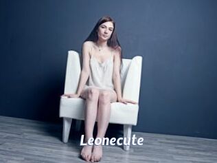 Leonecute
