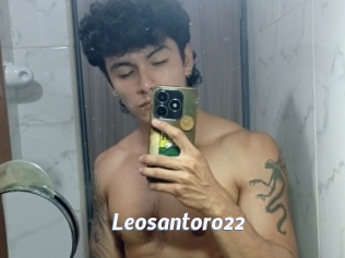 Leosantoro22