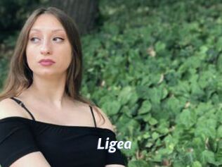Ligea