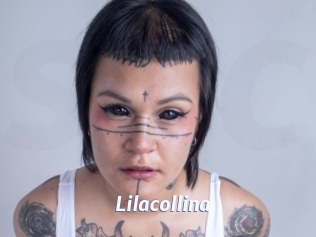 Lilacollina