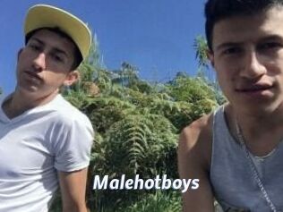 Malehotboys