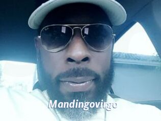Mandingovirgo