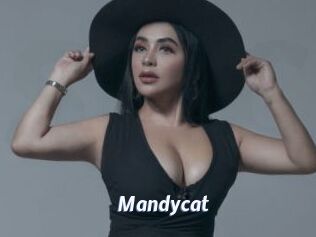 Mandycat