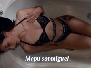 Mapu_sanmiguel