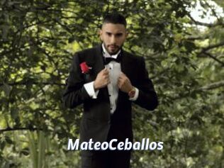 MateoCeballos