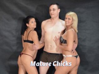 Mature_Chicks