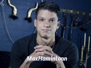 MaxHamintonn