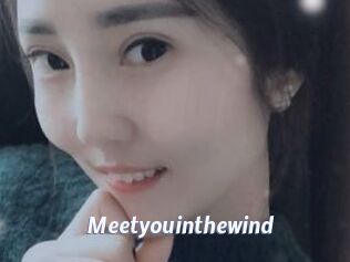 Meetyouinthewind