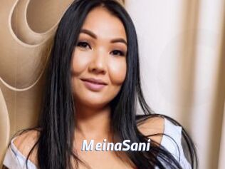 MeinaSani
