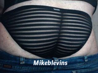 Mikeblevins