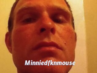 Minniedfknmouse
