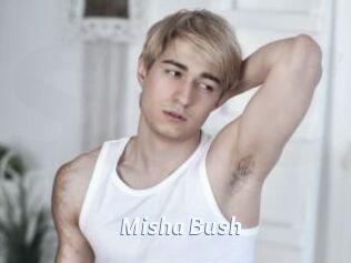 Misha_Bush