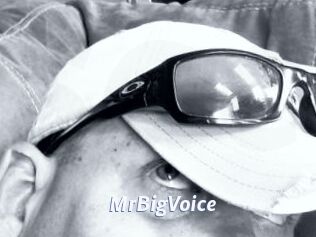 MrBigVoice