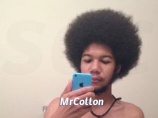 MrCotton
