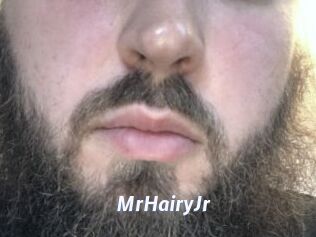 MrHairyJr