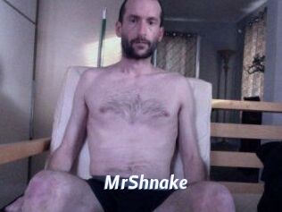 MrShnake