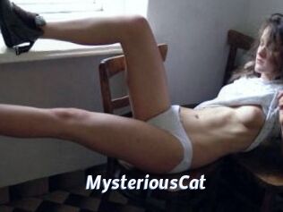 MysteriousCat